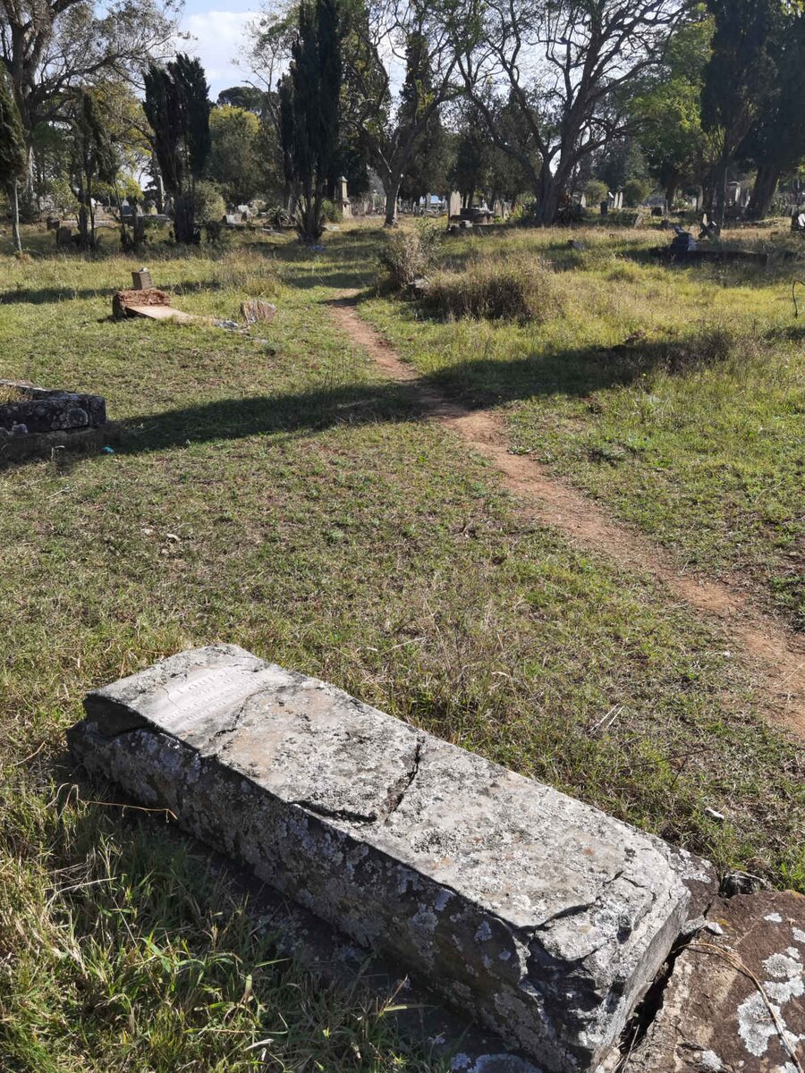 13. Overview / Oorsig