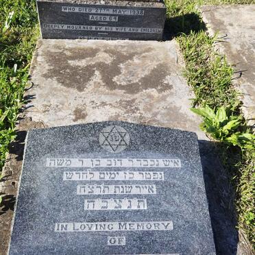 MORRIS Barnett -1938