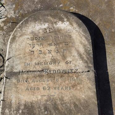 RADOWITZ Marcus -1916