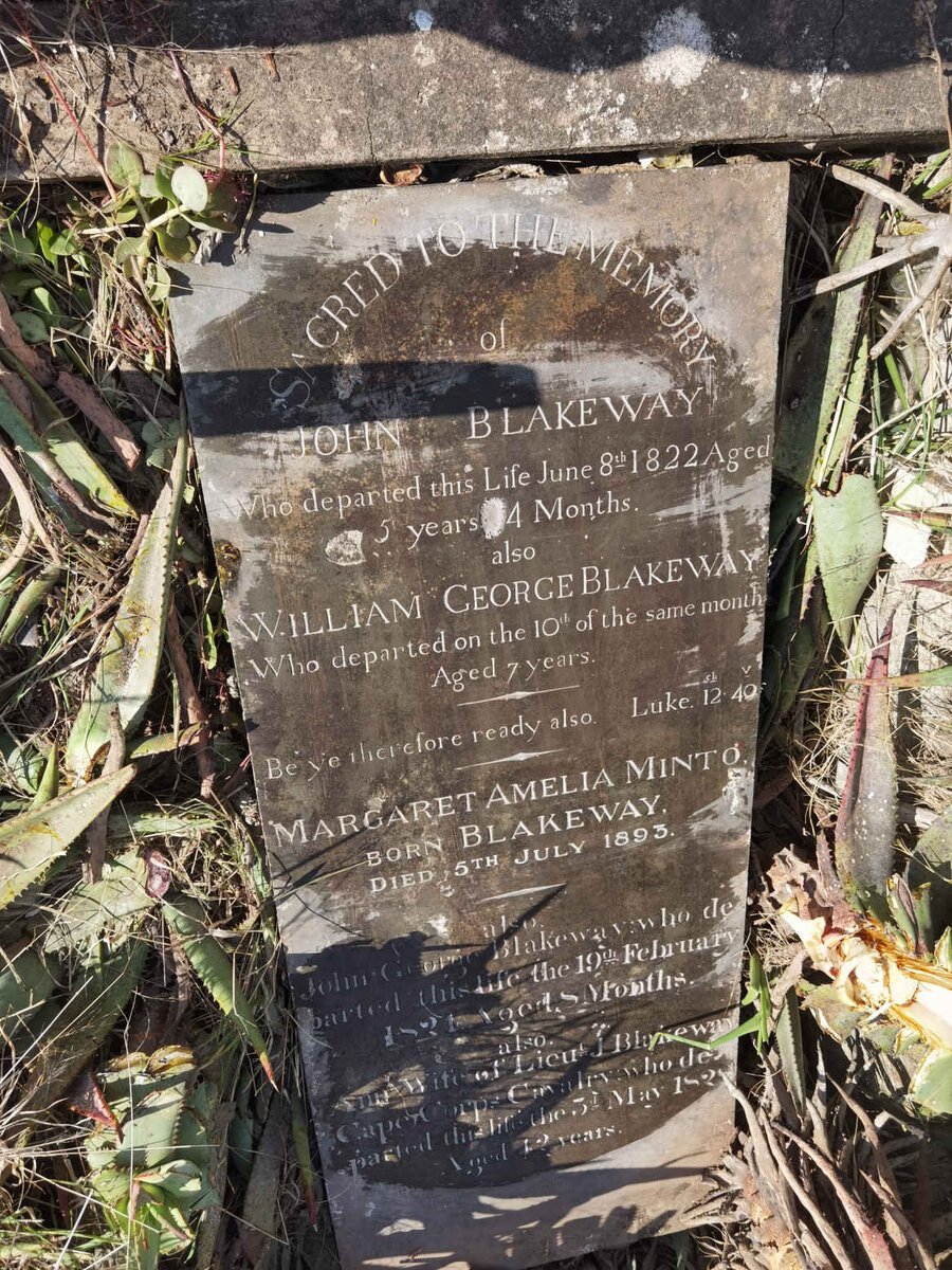 BLAKEWAY Ann -1828 :: BLAKEWAY John -1822 :: BLAKEWAY William George -1822 :: MINTO Margaret Amelia nee BLAKEWAY :: BLAKEWAY John George -1824