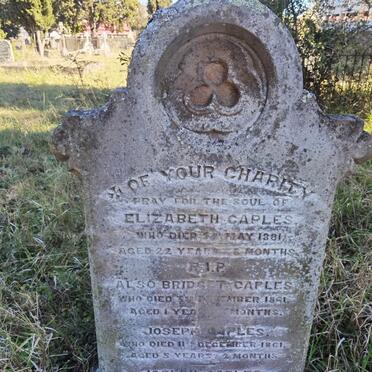 CAPLES Elizabeth -1881 :: CAPLES Bridget -1861 :: CAPLES Joseph -1861 :: CAPLES Joseph -1866 :: KELLY John -1876