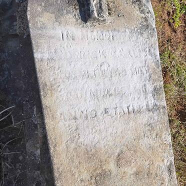 C - Surnames :: Vanne - C