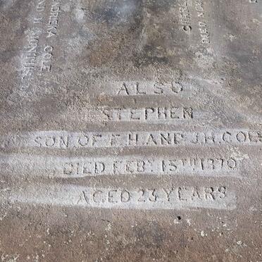 COLE Francis Henry -1866 :: COLE Johanna Hendrieka -1875 :: COLE Charles Robert -1874 :: COLE Catherine Margaret -1865 :: COLE Stephen -1870 _3