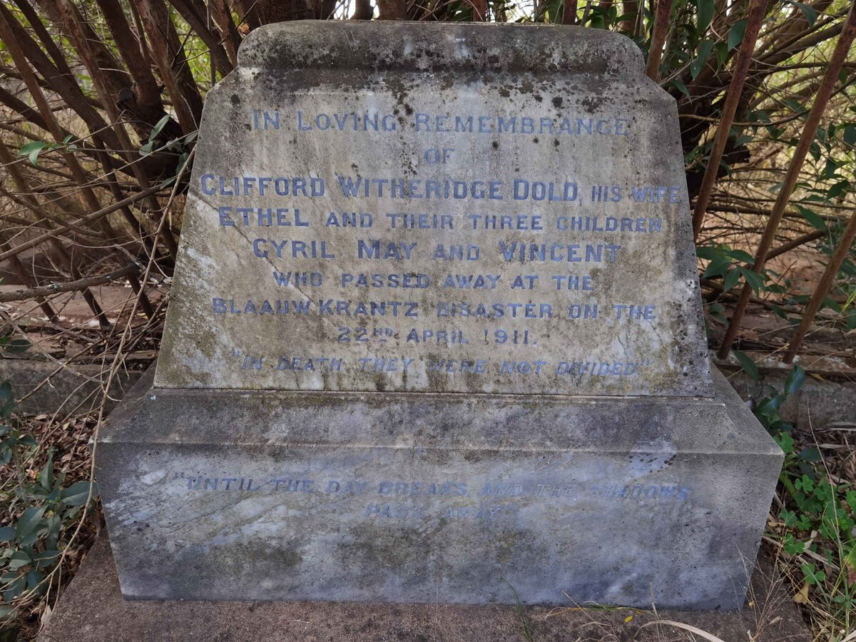 DOLD Clifford Witheridge -1911 &amp; Ethel -1911 :: DOLD Cyril -1911 :: DOLD May -1911 :: DOLD Vincent -1911