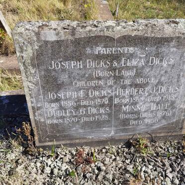 DICKS Joseph & Eliza LAKE :: DICKS Joseph F. 1856-1870 :: DICKS Herbert J. 1868-1913 :: DICKS Dudley G. 1870-1928 :: HALL Minnie nee DICKS 1876-1950