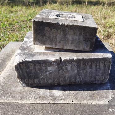 EDWARDS Henry Charles