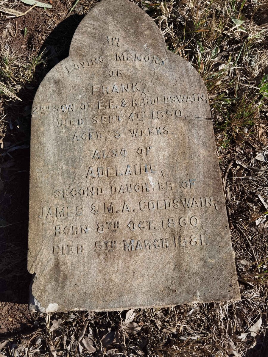 GOLDSWAIN Frank -1890 :: GOLDSWAIN Adelaide 1860-1881