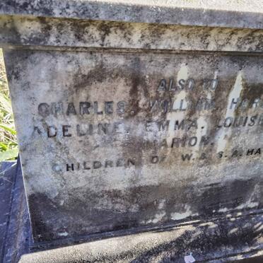 HAW Charles :: HAW William :: HAW Herbert :: HAW Adeline :: HAW Emma :: HAW Louise :: HAW Marion