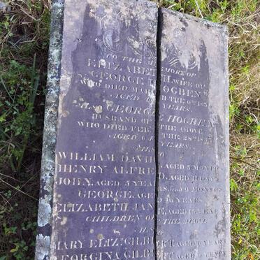 HOGBEN George -1853 &amp; Elizabeth -1835 :: HOGBEN William David :: HOGBEN Henry Alfred :: HOGBEN John :: HOGBEN George :: HOGBEN Elizabeth :: GILBERT Mary Elizabeth :: GILBERT Georgina