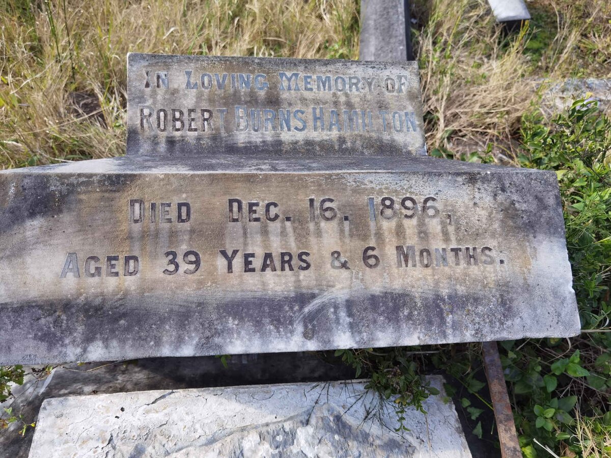 HAMILTON Robert Burns -1896