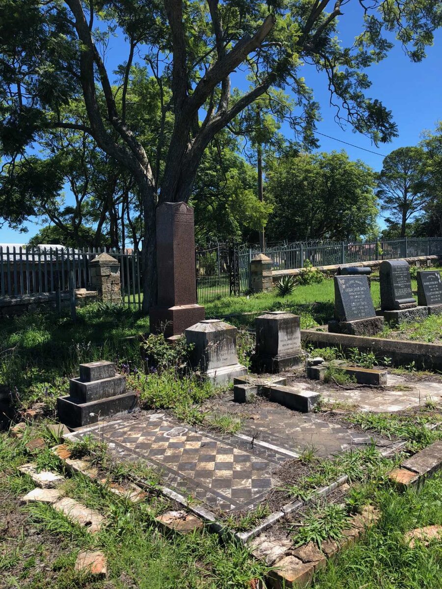 1. Overview HOLMES family plot