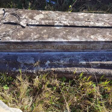 HOLLAND Jesse Mary Scott  -1863 _2