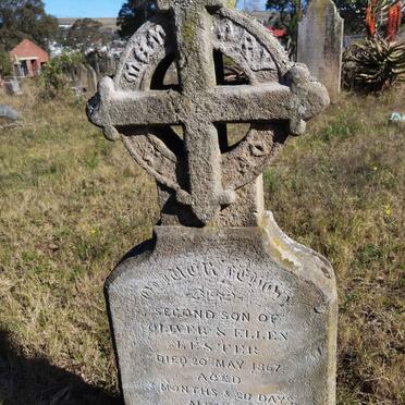 LESTER? -1867 :: LESTER Edith :: LESTER Herbert :: LESTER Olive