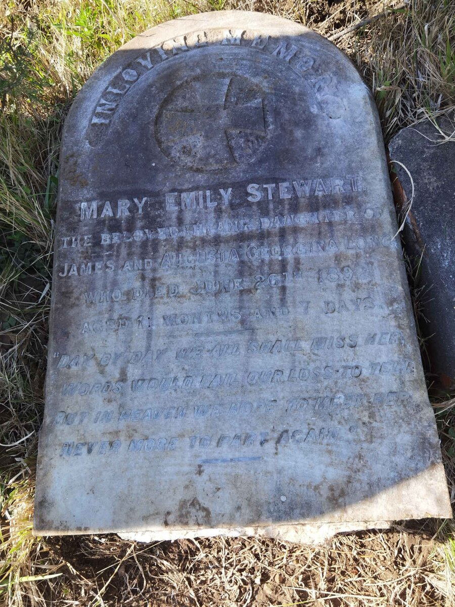 LONG Mary Emily Stewart -1892