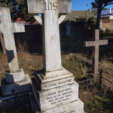 McCLURG William -1896 &amp; Eliza Flattery -1894