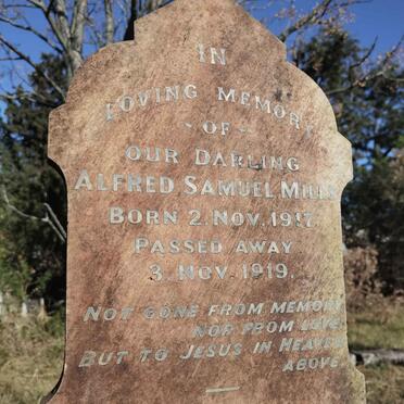 MILLS Alfred Samuel 1917-1919