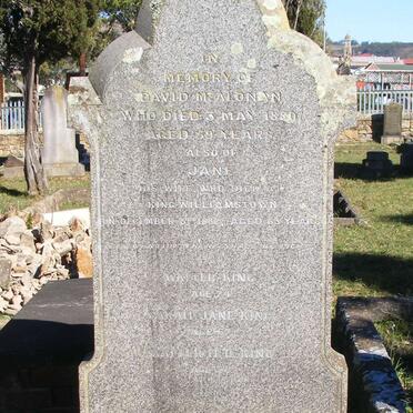 McALONAN David - 1880 &amp; Jane - 1882 :: KING Walter &amp; Sarah :: KING Walter H.D.