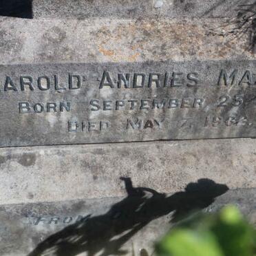 MAASDORP Harold Andries 1881-1902