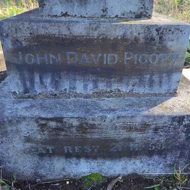 PIGOTT John David