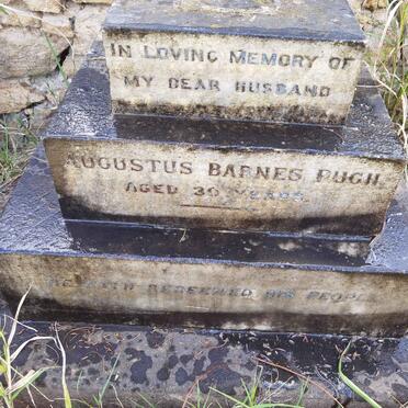 PUGH Augustus Barnes