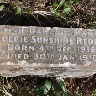 REDDIN Dulcie Sunshine 1915-1916