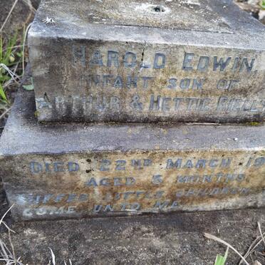 RIELLY Harold Edwin -1900