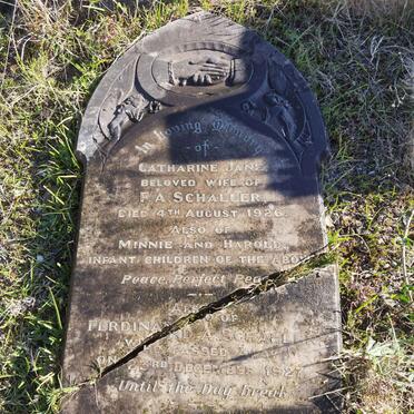 SCHALLER Ferdinand A. -1927 &amp; Catharine Jane -1926 :: SCHALLER Minnie :: SCHALLER Harold