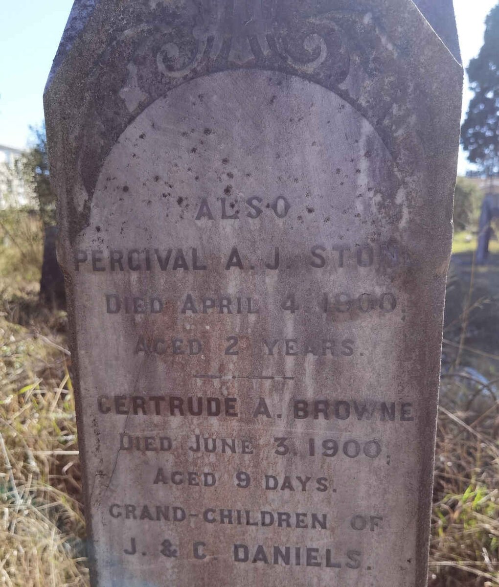 STONE Percival A.J. -1900 :: BROWNE Gertrude A. -1900