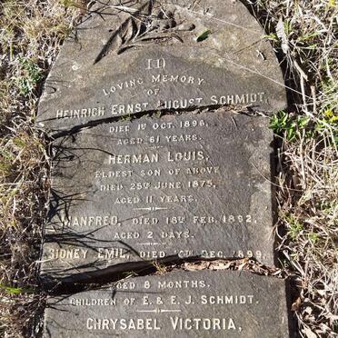SCHMIDT Heinrich Ernest August -1896 :: SCHMIDT Herman Louis -1875 :: SCHMIDT Manfred -1892 :: SCHMIDT Sidney Emil -1899 :: SCHMIDT Chrysabel Victoria -1901