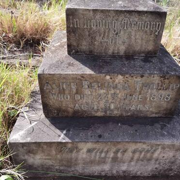 TROLLIP Alice Belinda -1898