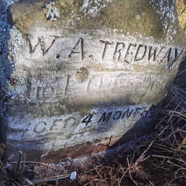 TREDWAY W.A.
