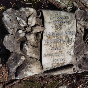 WHITNALL Sarah Ann -1916
