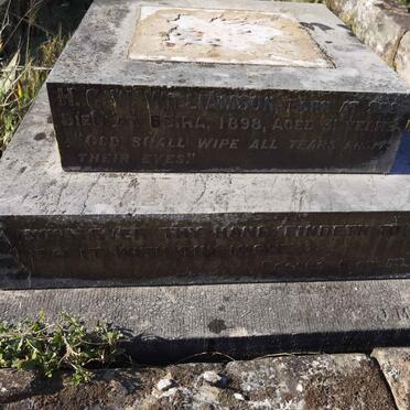 WILLIAMSON H.G.W. -1898