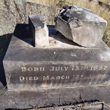 WOOD Harriet Jane 1857-1924