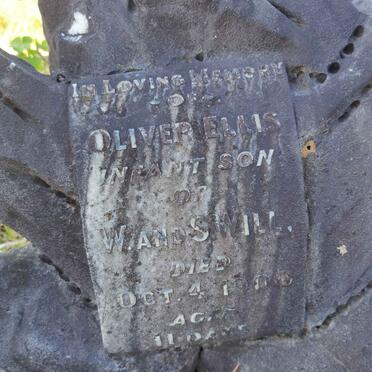 WILL Oliver Ellis -1900