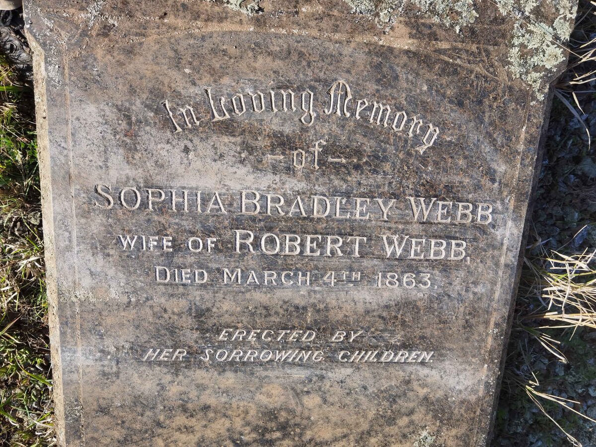 WEBB Sophia Bradley -1863