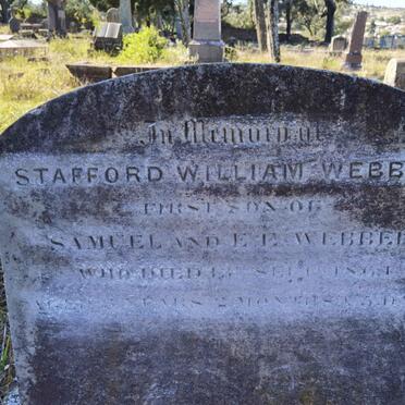 WEBBER Stafford William -1864