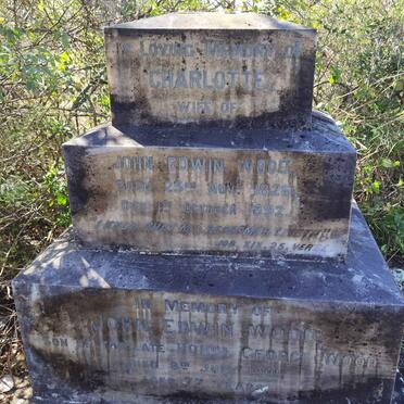 WOOD John Edwin -1901 &amp; Charlotte 1826-1892