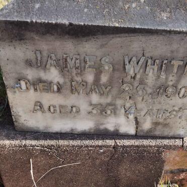 WHITE James -1901