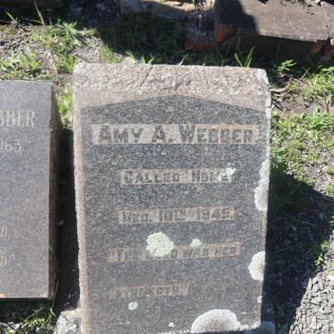 WEBBER Amy A. -1945