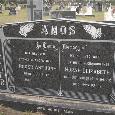 Am - Surnames starting with the letters Am