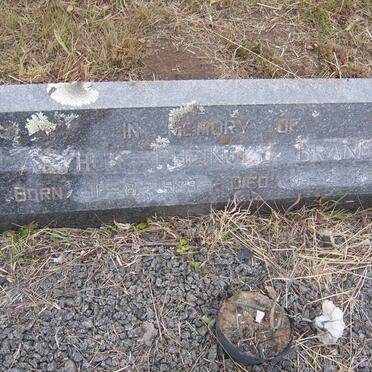 BRANDT Arthur Rheinold 1929-1954