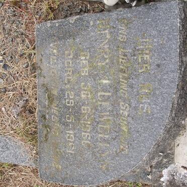 Fi - Surnames starting with the letters Fi