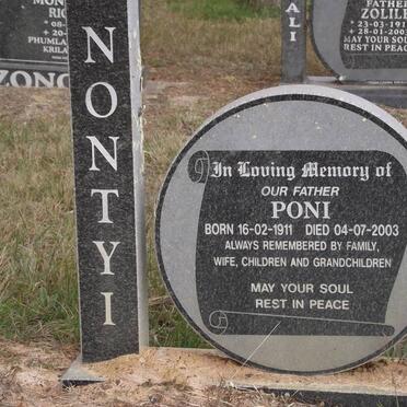 NONTYI Poni 1911-2003