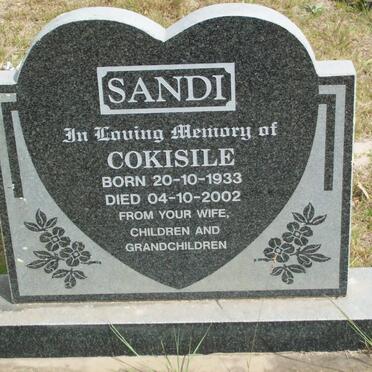 SANDI Cokisile 1933-2002