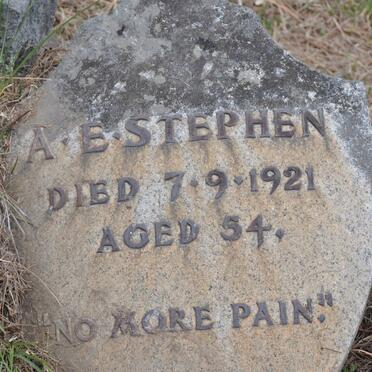STEPHEN A.E. -1921