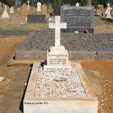 BOSCH Teddy 1933-1934