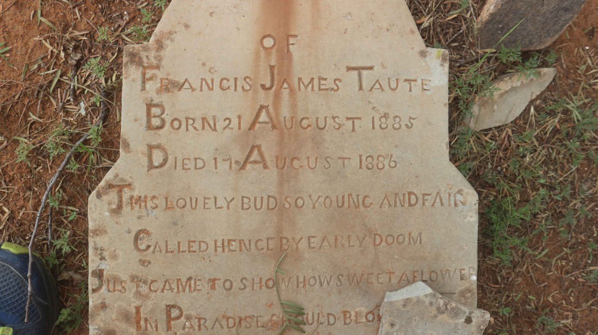 TAUTE Francis James 1885-1886