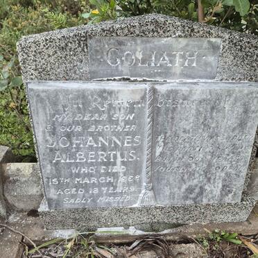 GOLIATH Johannes Albertus -1968