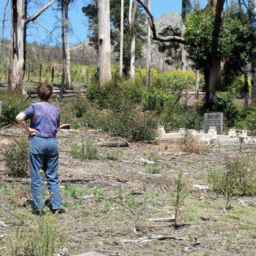 1. Overview on cemetery